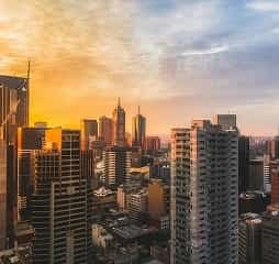 画像が見つかりません